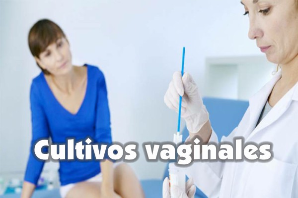 Cultivo vaginal