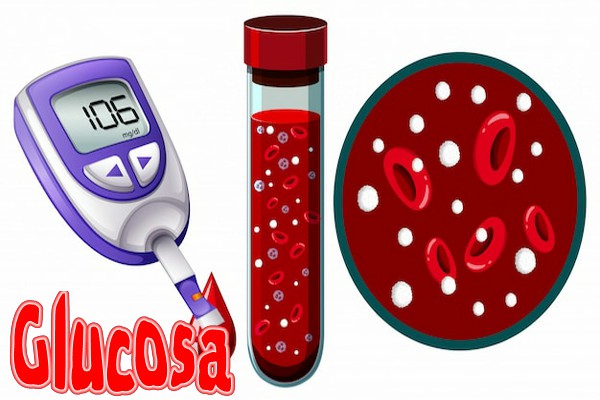 Glucosa