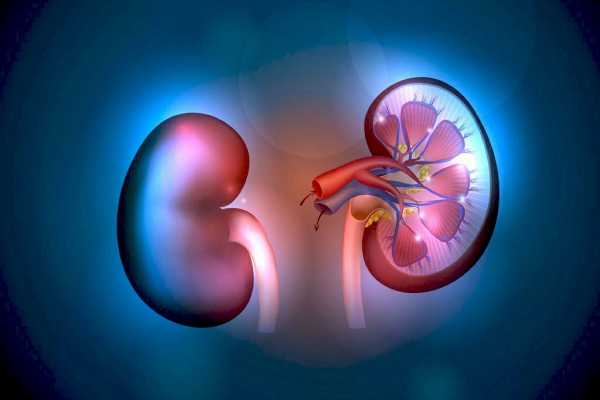 Insuficiencia Renal Crónica (IRC)